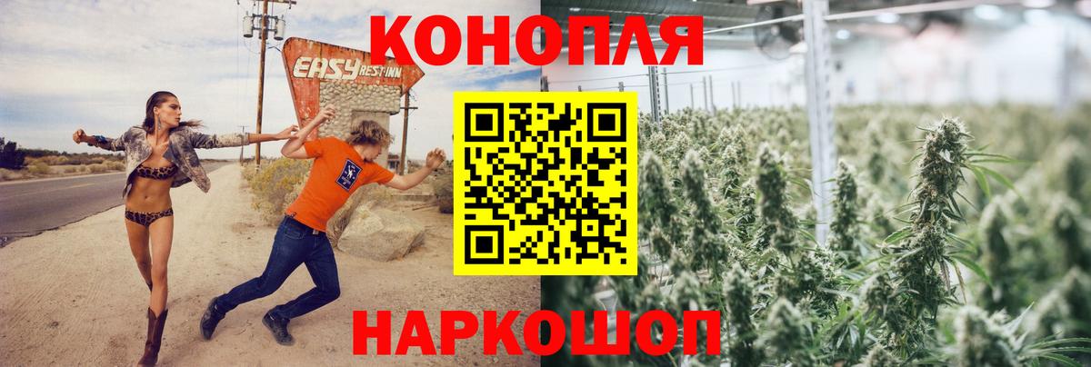 Бошки Шишки индика Печора